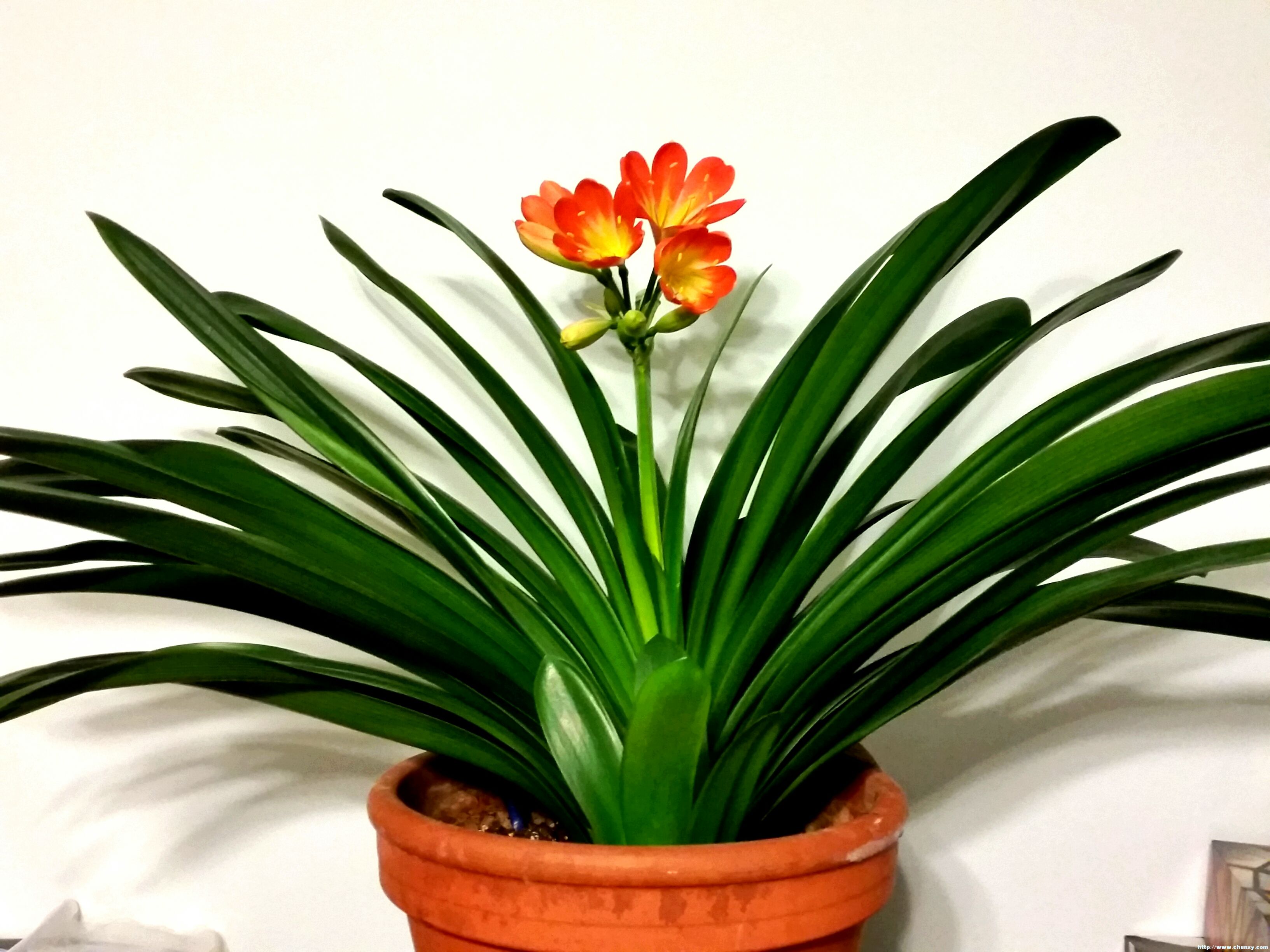 2018-02-25 18.41.11.jpg