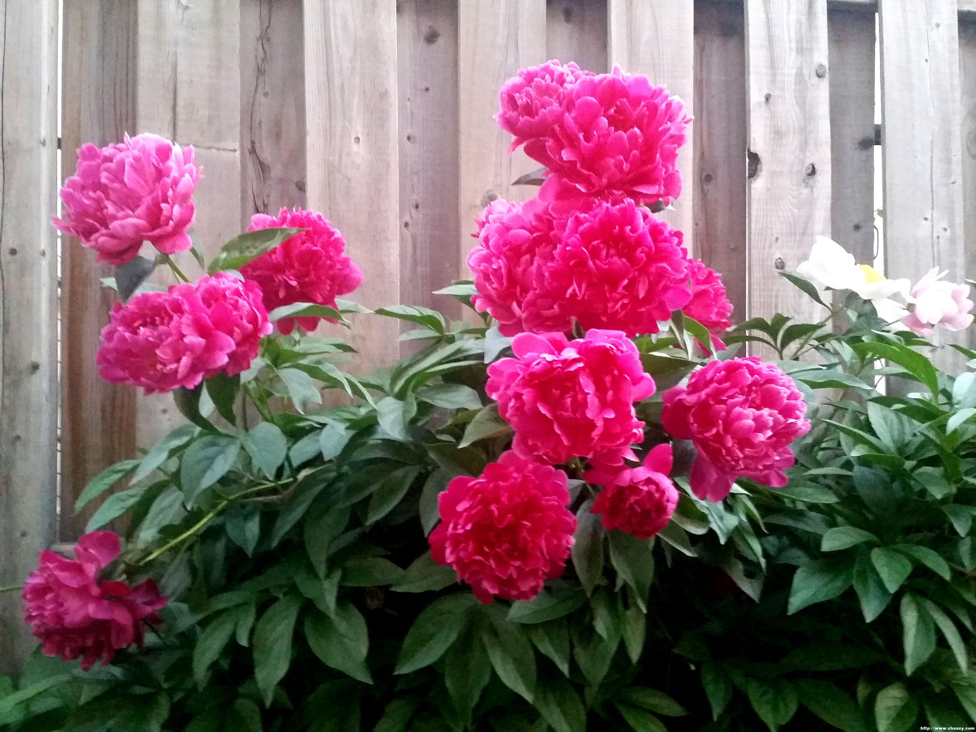 2018-06-15 21.37.31.jpg